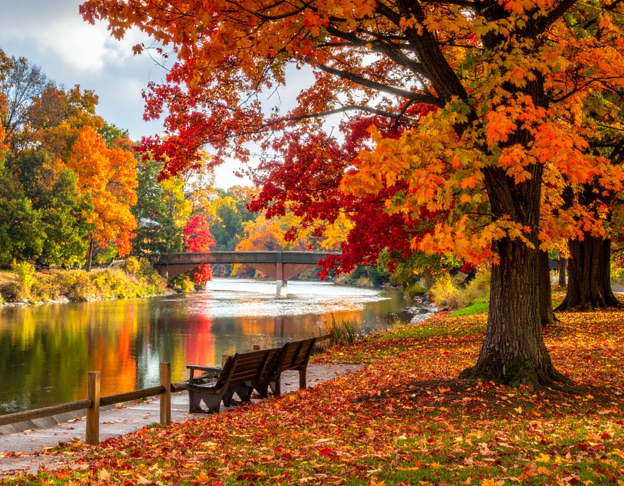 Fall Experiences Top Fall Activities & Day Trips from London, ON - Elevate Real Estate Group